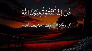 ????️محمدالفقیه???? 2