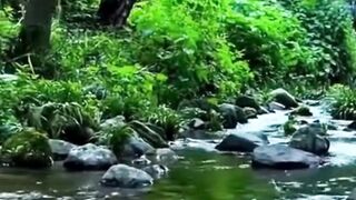 Beautiful nature 285