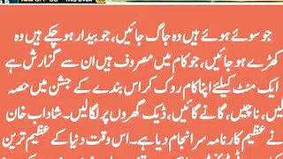 great performance by shadab Khan psl 11 || #viralvideo #babarazam #shadabkhan#youtubeshorts #cricket