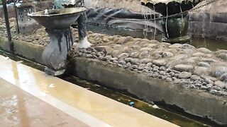 the restaurant I ate at