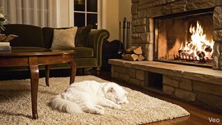 ???? Chuva na Floresta Profunda | Deep Forest Rain Sounds