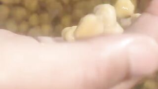 Halwai Style Channa Masala ???????? | Spicy Desi Recipe