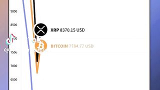 What Is The Top Crypto Recovery Service For Forex Trading Scams Visit Autopsy Mainnet Recovery