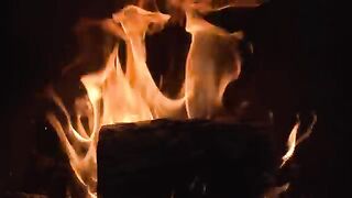 The stars have fallen.