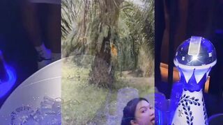 Ibu tiri vs anak tiri