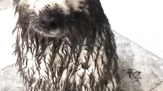 You just can’t get mad at them when they’re having so much fun 2