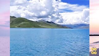 Jangan Coba-coba Berenang Di Sini versi bola88