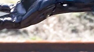 Alienoid Return to the Future