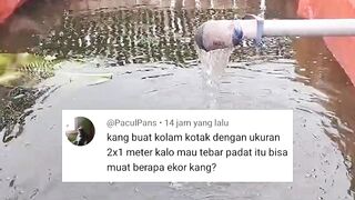 Tebar PADAT Boleh tapi harus LOGIS❗Begini caranya