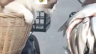 NGakak banget liatnya