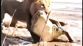 Simple plan, but terrible