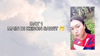 Day 1 main di kebun sawit