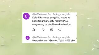 Begini JADINYA jika budidaya lele system JARING KERAMBA disungai