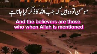 Tilawat e Quran Majeed 49