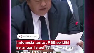 Pemerintah Indonesia melalui perwakilan tetap RI di PBB