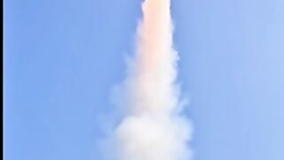 The plane was destroyed by hitting it with a hypersonic missile from a banana tree