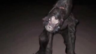 funny video # jinni in the dessert