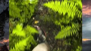 Berhenti Mengejar, Mulailah Bertumbuh ????