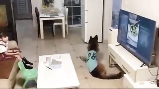 The father who posted the video says: If it weren't for the security camera, I wouldn't have believed what happened.