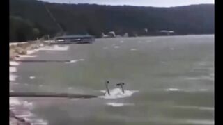 kejadian paling viral