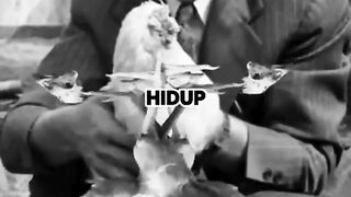 Ayam Bisa Hidup Tanpa Kepala