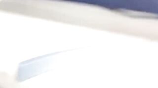 Funny Cats #cute #funny #pets #funnycats #catlovers