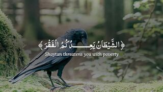 Quran Subtitle