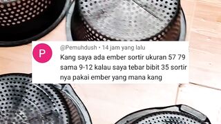 Ini ALASAN kenapa kita HARUS punya BAK SORTIR lengkap