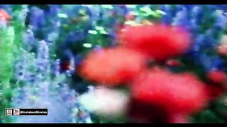 Bandhan toote na piyar ka beautiful song