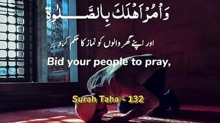 Tilawat e Quran Majeed 50