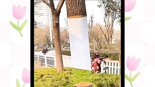 Ato made l vai kivabe.