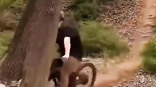 Funny videos ???????????????? 19