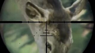 Satu tarikan pelatup, mengubah segalanya... ????