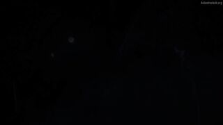 Mamonogurai no Boukensha ~Ore Dake Mamono wo Kuratte Tsuyoku Naru~ Episodes 1