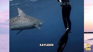 Beginilah Cara Menghadapi Ikan Hiu!???? versi bola88