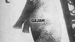 Kira2 Benar atau Nggak nih?