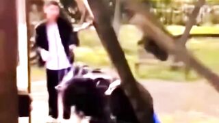 Craziest Moments Caught on Camera #funnyreels #memes #fails