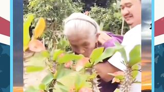 Penampakan ratu lebah ???? ????