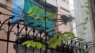 Today Beautiful Weather Rain Day ????