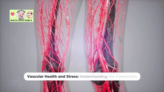 How Stress Damages Your Arteries Vascular Health Guide