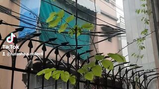 Today Beautiful Weather Rainday in Faisalabad