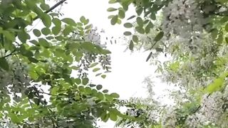 Beautiful nature 286