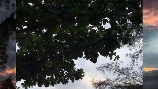 "Logika yang Hilang."