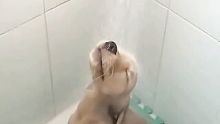 Some dogs run from baths, these ones run into them 2