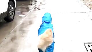 His little red boots are just cute ????❤️ #goldenretriever #pet #doglovers