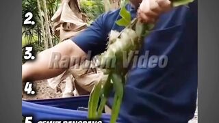 Random ngakak Mas Arifin #videolucu