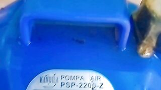 Segmen PEMBENIHAN lele WAJIB memiliki POMPA CELUP ini