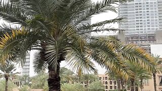 Dubai rain 3