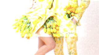 Spring vibes loading… love, cats, memes