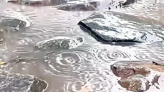 the beauty of rain in the countryside in the morning